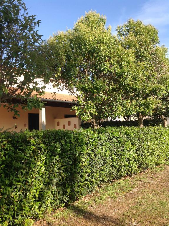 Agriturismo La Fattoria Del Mortelliccio Carbonifera Exterior photo